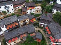  航拍“中国最美乡村”婺源篁岭“晒秋”