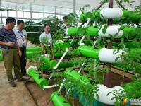 隆回现代农业示范基地：特色瓜果满园香