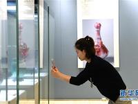  一带一路非遗项目展在京举行