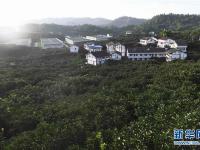  兰渝铁路，许广安一个漂亮的转身