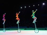  精彩纷呈看杂技