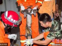 “大师兄”下山 消防十八般武器捉拿