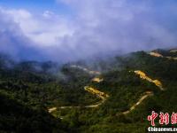 航拍江西铅山山间公路 云雾缭绕宛如仙境