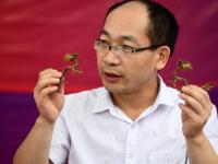 少数民族非遗展演将亮相八大处文化节