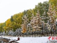 甘肃河西小城秋日落雪粉妆玉砌