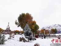 甘肃河西小城秋日落雪粉妆玉砌