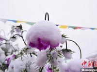 甘肃河西小城秋日落雪粉妆玉砌