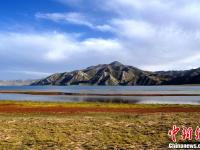 黄河源头秋景如画 野生动物频出现
