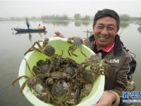  丰收时节 悦在金秋