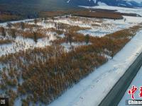 雪后S303省道成“最美”公路 如巨龙雪原上蜿蜒