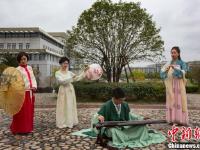 南京邮电大学120岁“丹桂”飘香 学生着汉服赏花吟诗