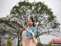 南京邮电大学120岁“丹桂”飘香 学生着汉服赏花吟诗