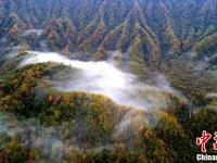 四川光雾山层林尽染云雾缭绕如仙境