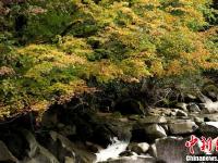 四川光雾山层林尽染云雾缭绕如仙境