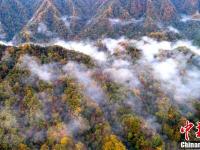四川光雾山层林尽染云雾缭绕如仙境