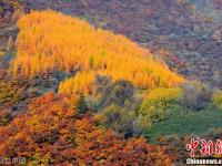 兰州兴隆山层林尽染 秋色美如画