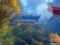兰州兴隆山层林尽染 秋色美如画