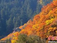兰州兴隆山层林尽染 秋色美如画