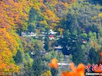 兰州兴隆山层林尽染 秋色美如画
