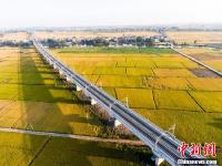 航拍即将通车的九景衢铁路 穿越金黄田野