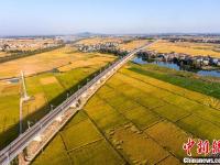 航拍即将通车的九景衢铁路 穿越金黄田野