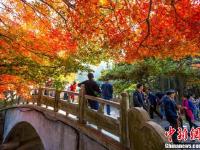 金秋时节 江西庐山“枫”景如画
