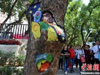福州校园手绘“树洞画”惟妙惟肖