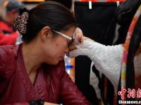 上百只喵星人集体亮相昆明 吸引爱猫市民围观