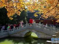 京城秋景