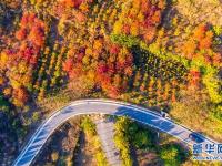 河北邯郸：废弃矿山变身生态公园