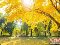 北京秋末冬初的“红叶小道”