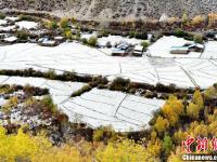 探寻西藏察隅之美