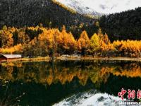 四川理县秋日红叶 美景如画