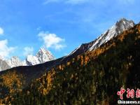 四川理县秋日红叶 美景如画