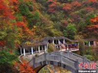 甘肃成县西狭颂“秋日胜春朝”