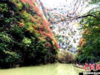 甘肃成县西狭颂“秋日胜春朝”