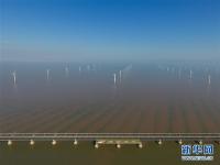  俯瞰上海东海大桥海上风电场