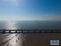  俯瞰上海东海大桥海上风电场