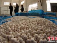 探访景德镇首家陶瓷珠宝生产线