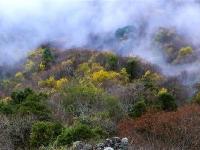  云雾缭绕南宫山