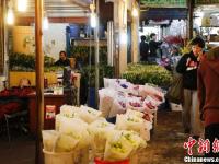 上海市市中心最大花市年底关闭
