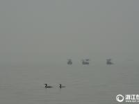  杭州：雨朦胧 雾朦胧