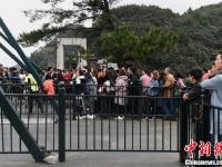 重庆市民悬崖边上荡秋千找刺激