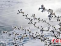 呼伦贝尔持续降温 河畔现雾凇美景