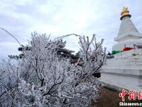 寒潮来袭 江西庐山现绝美雾凇景观