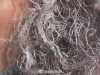 中国最冷小镇气温跌破-33℃ 冰雪美景仿若童话