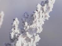 中国最冷小镇气温跌破-33℃ 冰雪美景仿若童话