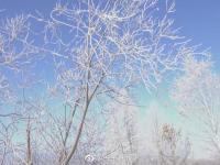 中国最冷小镇气温跌破-33℃ 冰雪美景仿若童话