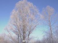 中国最冷小镇气温跌破-33℃ 冰雪美景仿若童话
