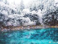 九寨沟迎来入冬第一场雪 晶莹剔透美如仙境